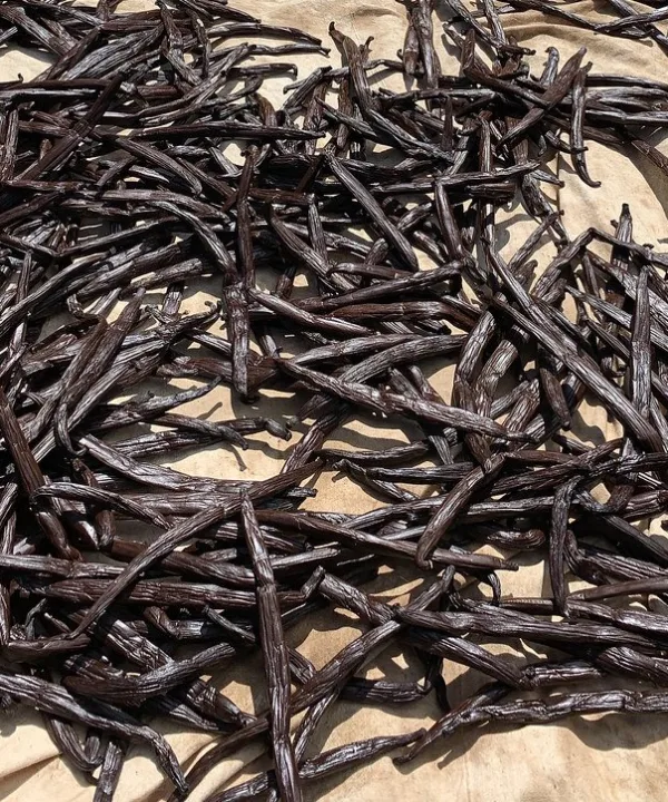 바닐라빈 시럽을 직접 끓이는 이유