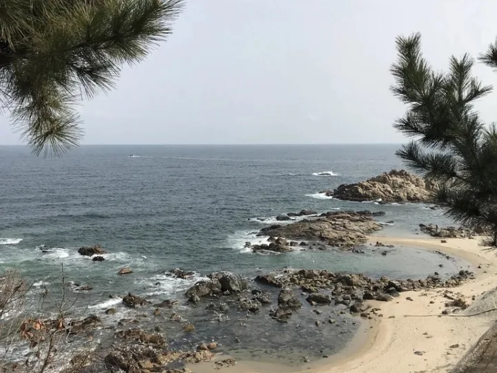 아버지 집을